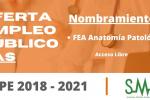 OEP SAS 201