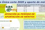 Bolsa SAS
