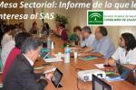 Mesa SAS