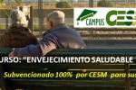 Curso Campu