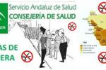 Cádiz - Lis