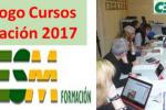 Cursos 2017