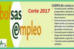Bolsa SAS
