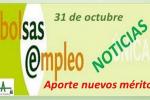 Bolsa SAS