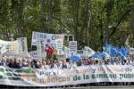 Manifestaci