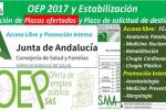 OEP 2017-Es