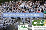 Movilizacio