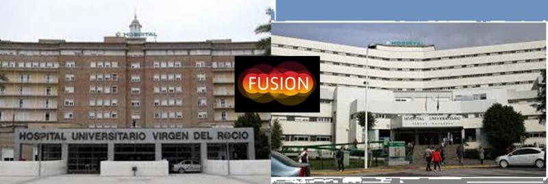 Fusion Sevi