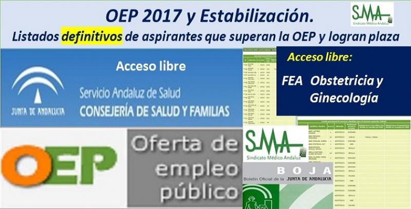 OEP 2017-Es