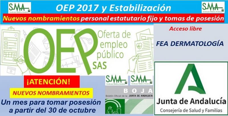 OEP 2017-Es