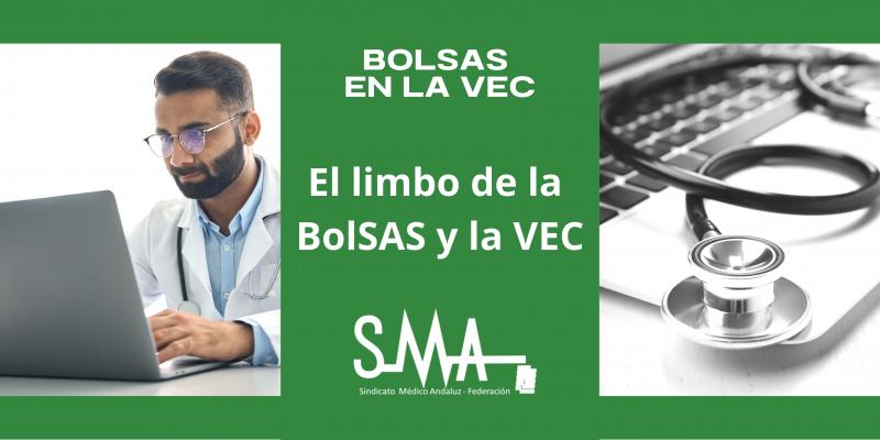 Bolsa y VEC